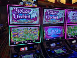 qqqbet